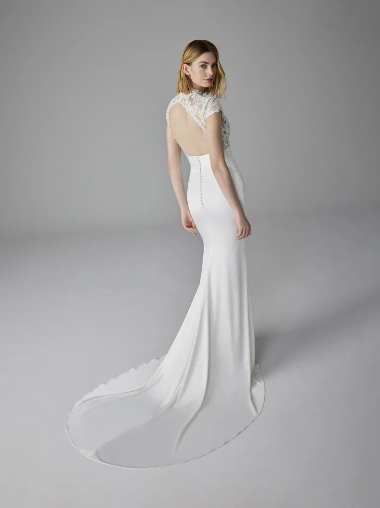 PRONOVIAS AGATHY WEDDING DRESS - 2025